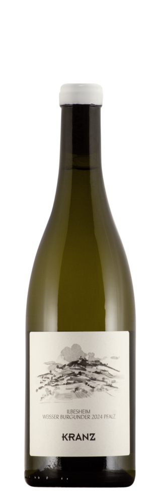 301-Ilbesheim Weisser Burgunder.png